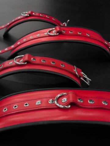 Dom Max Exklusiver BDSM im Penthouse The Prestige Volketswil